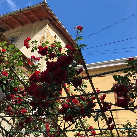 Apartmani Banina Ika Εξωτερικό φωτογραφία