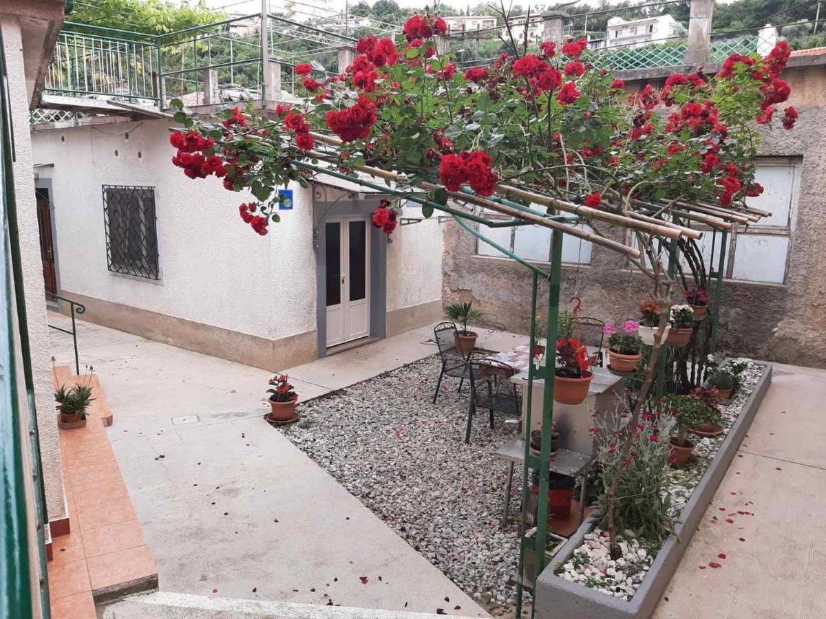Apartmani Banina Ika Εξωτερικό φωτογραφία