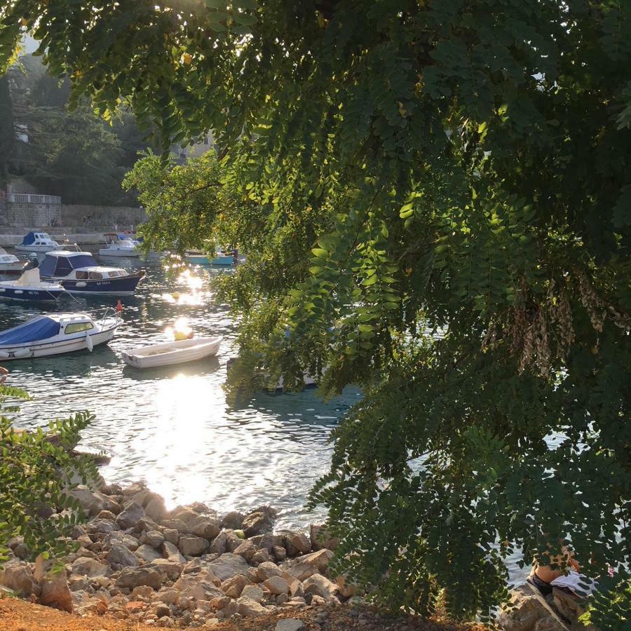 Apartmani Banina Ika Εξωτερικό φωτογραφία