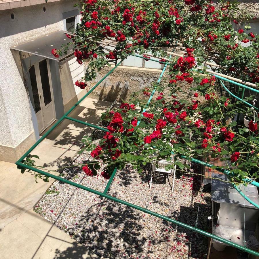 Apartmani Banina Ika Εξωτερικό φωτογραφία